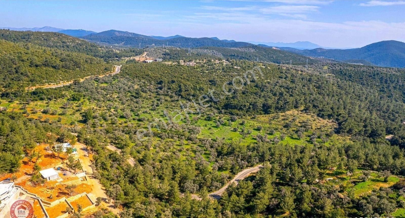 Kızılağaç'ta Yola Sıfır Tek Hisseli Zeytinli Tarla 4,5 Dönüm - Görsel 15