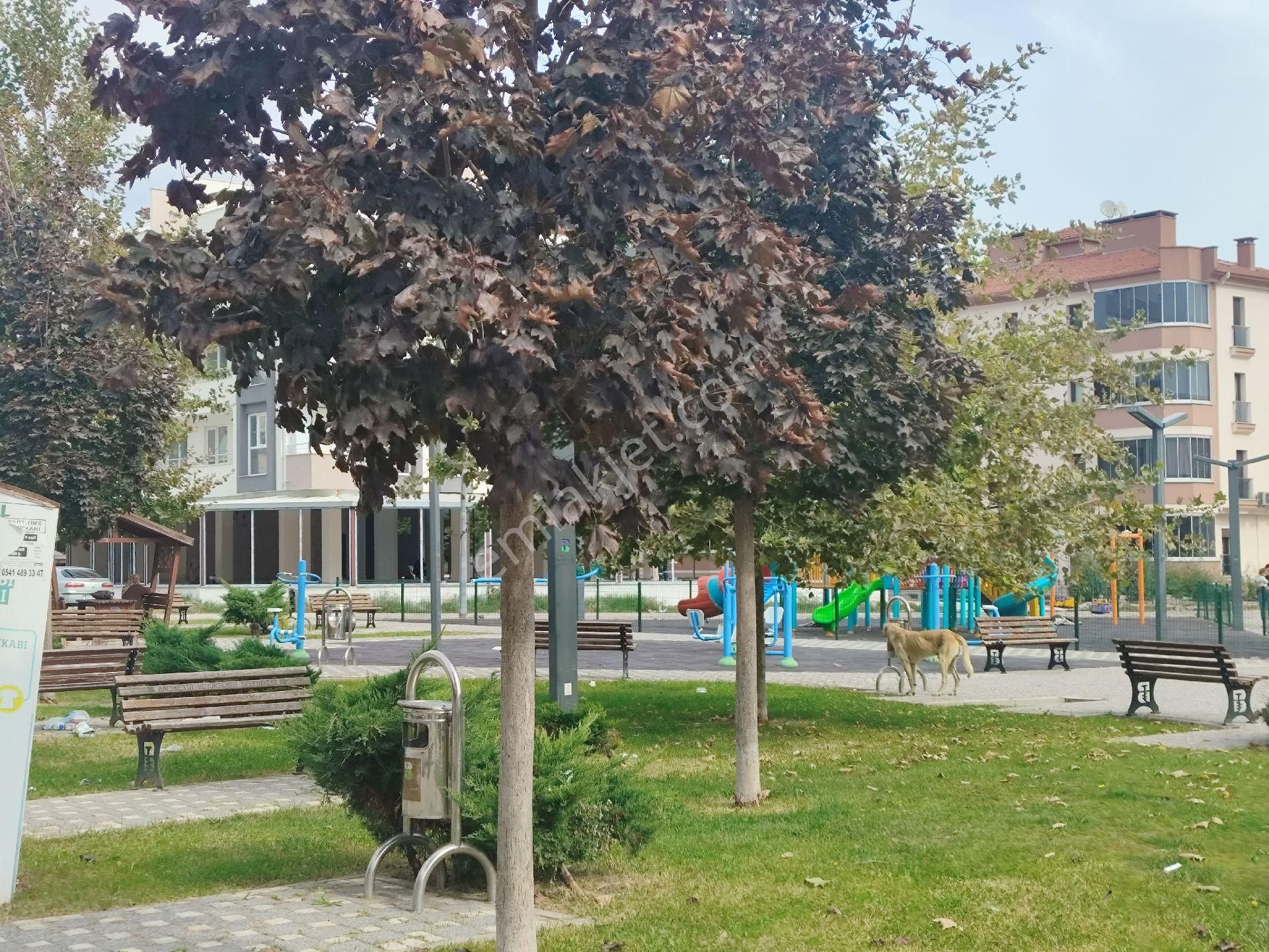 Balıkesir Altıeylül Şehir Hastanesi Yakını 1+1 Eşyalı Pırlantam Gayrimenkul - Görsel 20