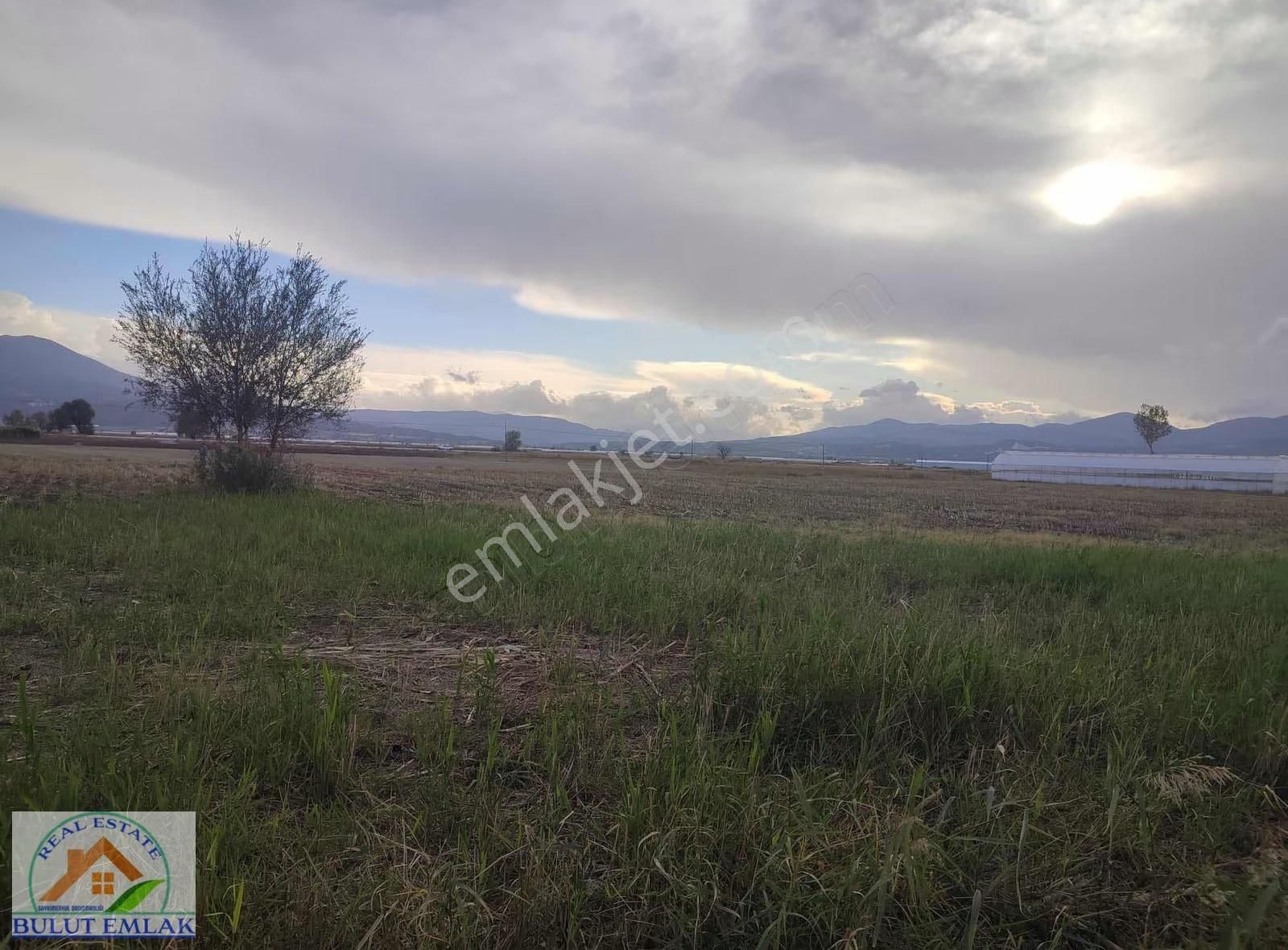 Bulut Emlak Burdur Gölhisarda 15 Dönüm Yatırımlık Satılık Tarla