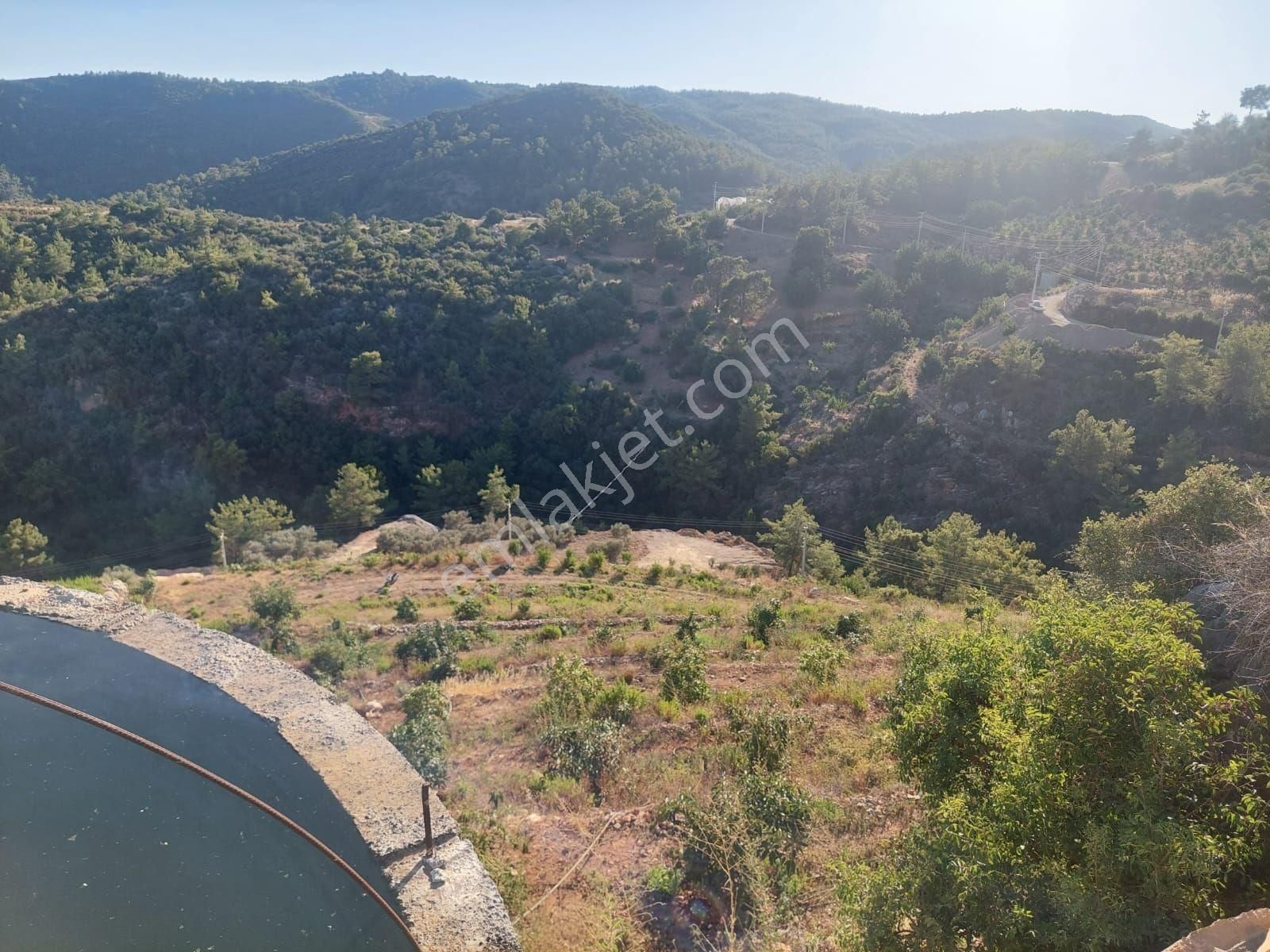 Satılıl Getirisi Olan Tarla Avakado Ekili - Görsel 4