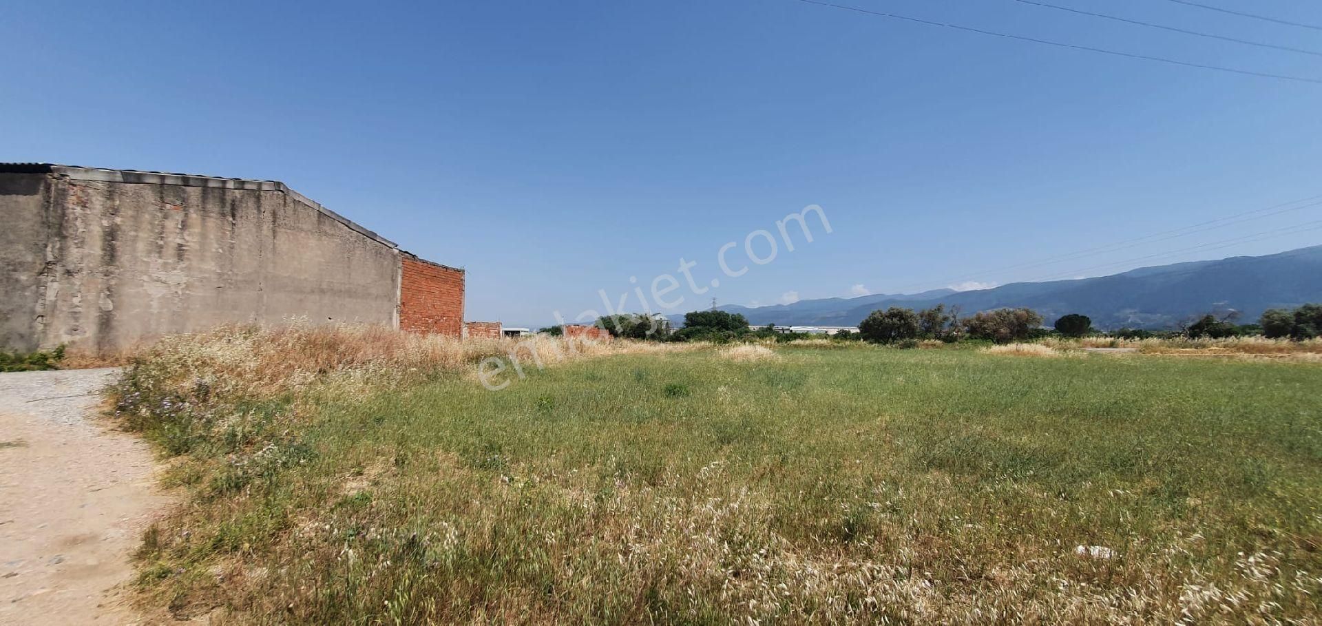 İzmir Kemalpaşa Da Yatırımlık Satılık Arsa - Görsel 5