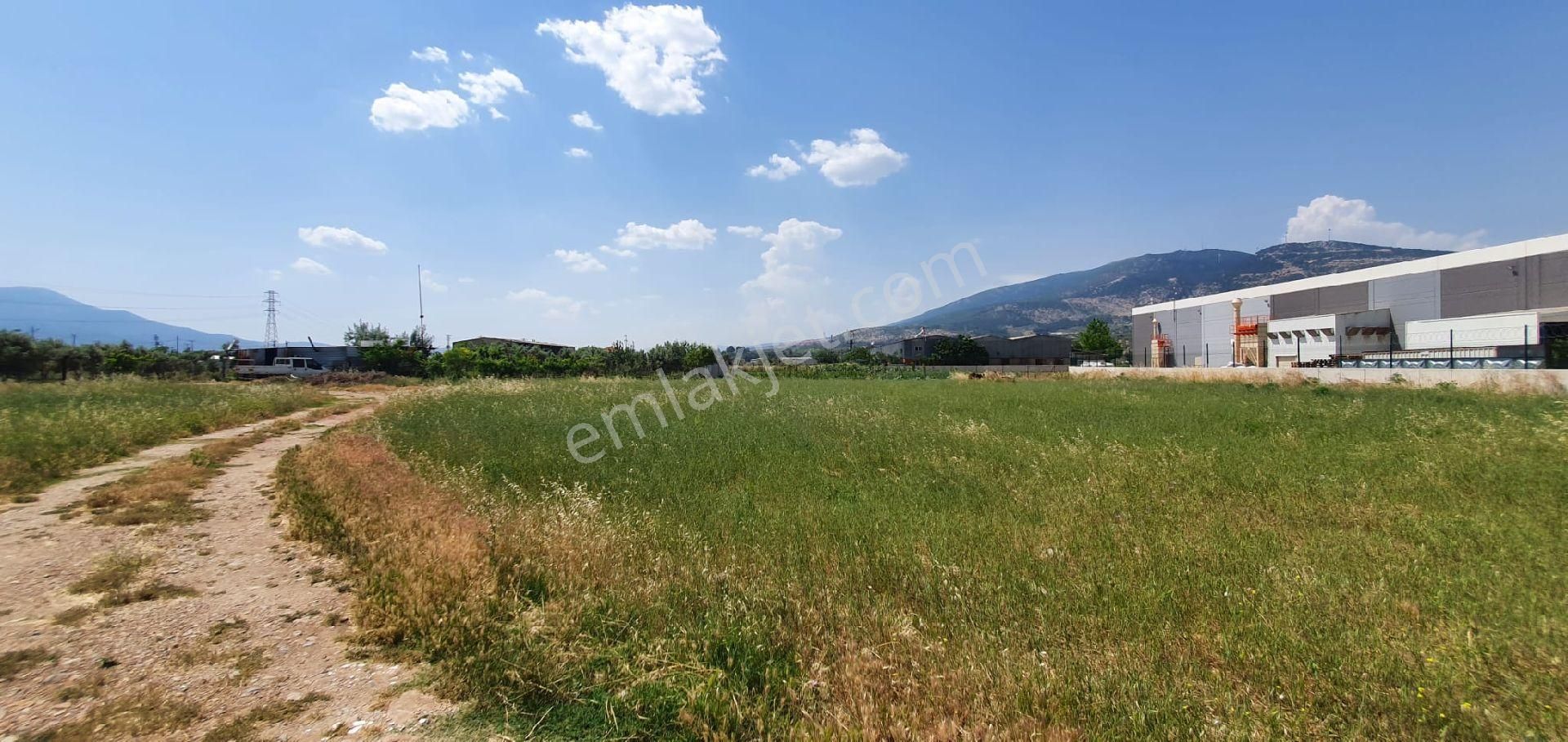 İzmir Kemalpaşa Da Yatırımlık Satılık Arsa - Görsel 4