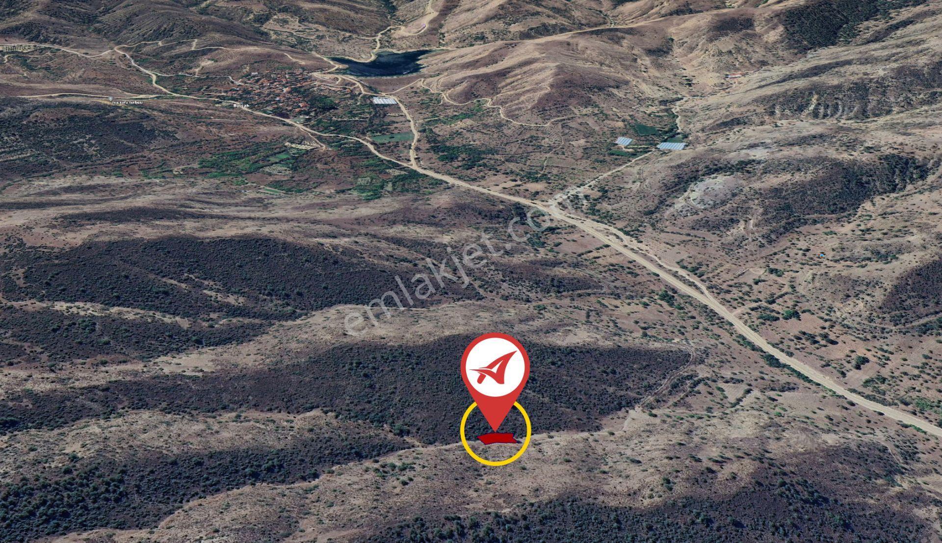 Bilecik-söğüt-borcak-satılık 578m2bahçe - Görsel 8