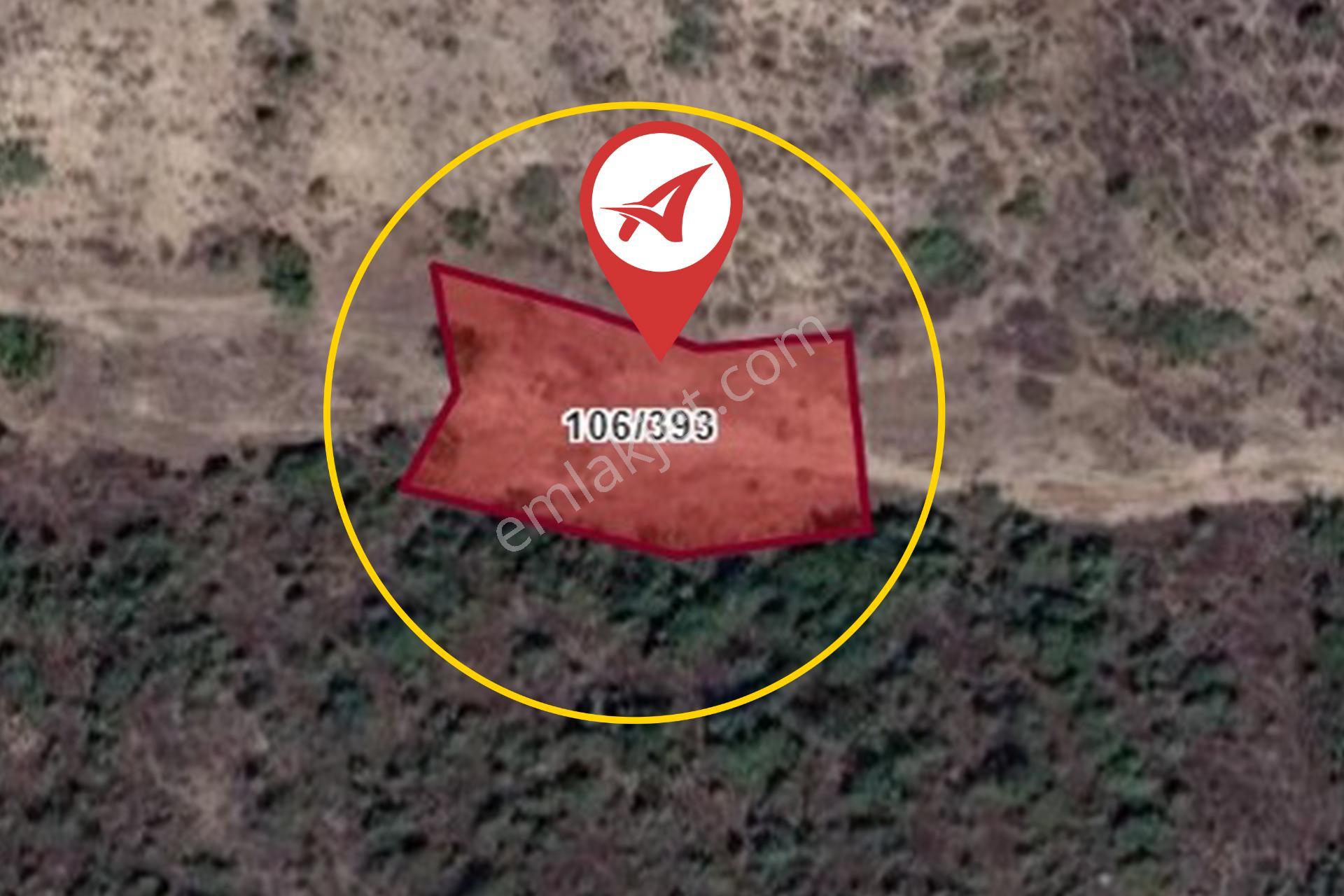 Bilecik-söğüt-borcak-satılık 578m2bahçe - Görsel 6