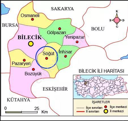 Bilecik-söğüt-borcak-satılık 578m2bahçe - Görsel 23