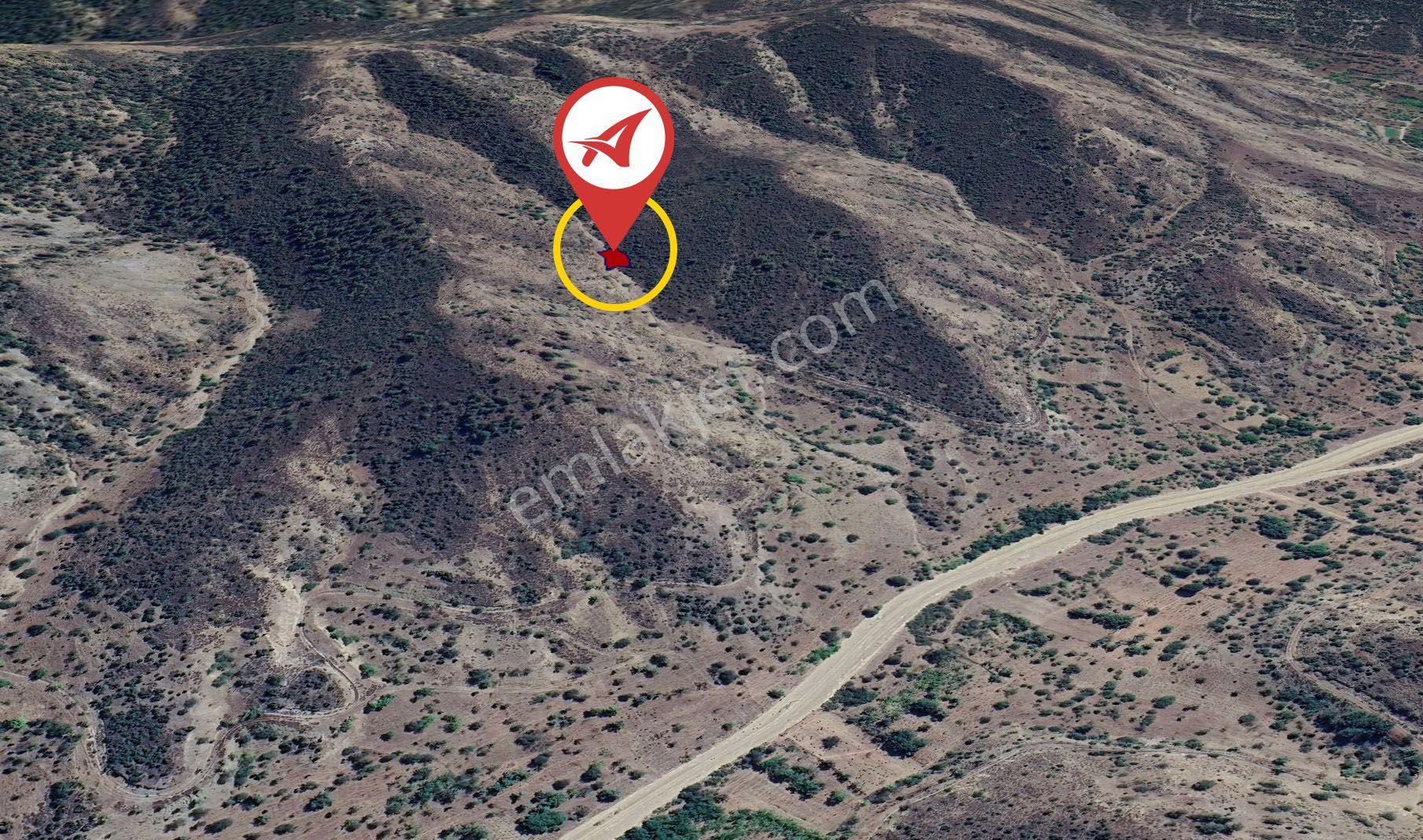 Bilecik-söğüt-borcak-satılık 578m2bahçe - Görsel 3