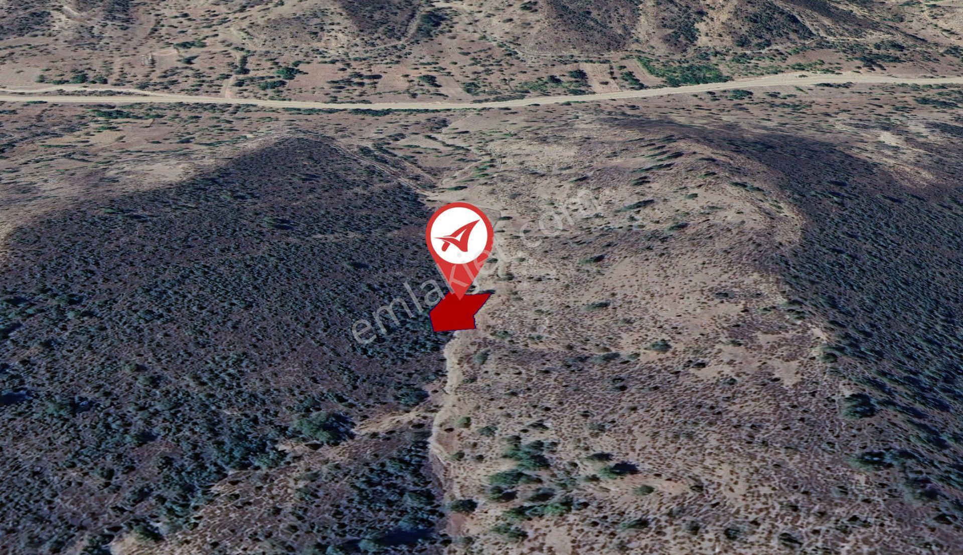 Bilecik-söğüt-borcak-satılık 578m2bahçe - Görsel 2