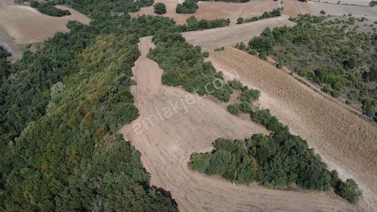 Karataş'tan 2063 M2 Ormana Cephe Ağaçlar İçinde Doğa Harikası!! - Görsel 3