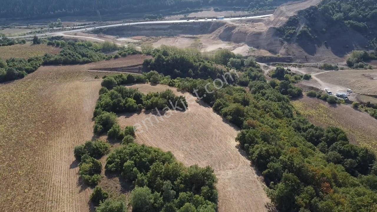 Karataş'tan 2063 M2 Ormana Cephe Ağaçlar İçinde Doğa Harikası!! - Görsel 18
