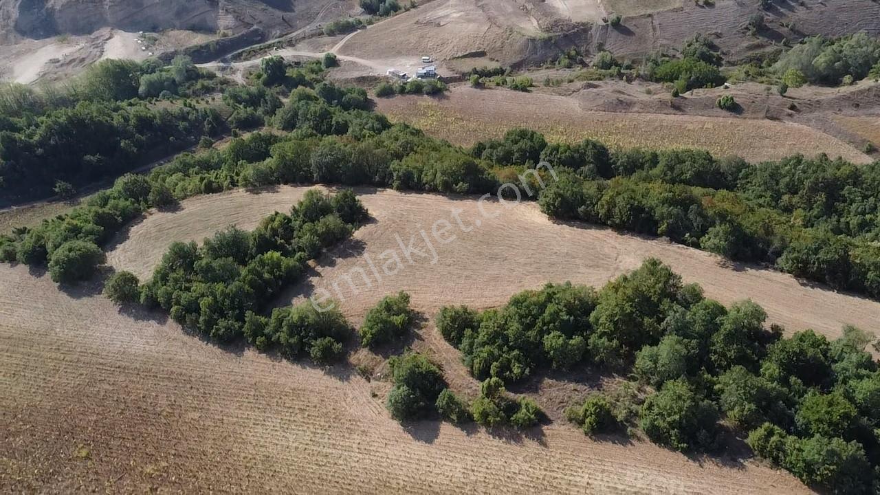 Karataş'tan 2063 M2 Ormana Cephe Ağaçlar İçinde Doğa Harikası!! - Görsel 3