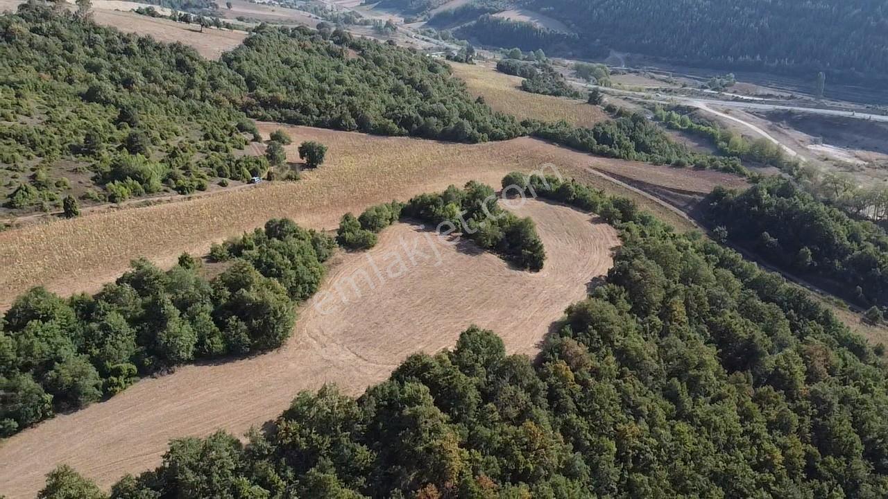 Karataş'tan 2063 M2 Ormana Cephe Ağaçlar İçinde Doğa Harikası!! - Görsel 6