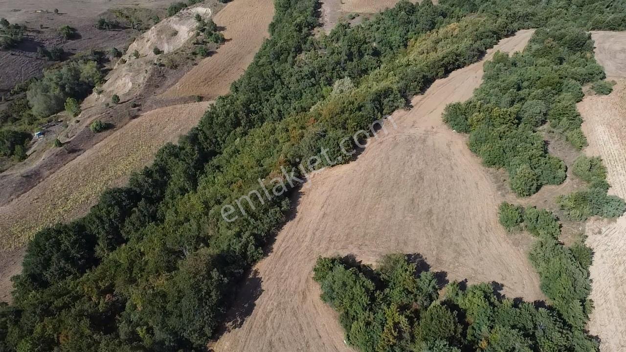 Karataş'tan 2063 M2 Ormana Cephe Ağaçlar İçinde Doğa Harikası!! - Görsel 17