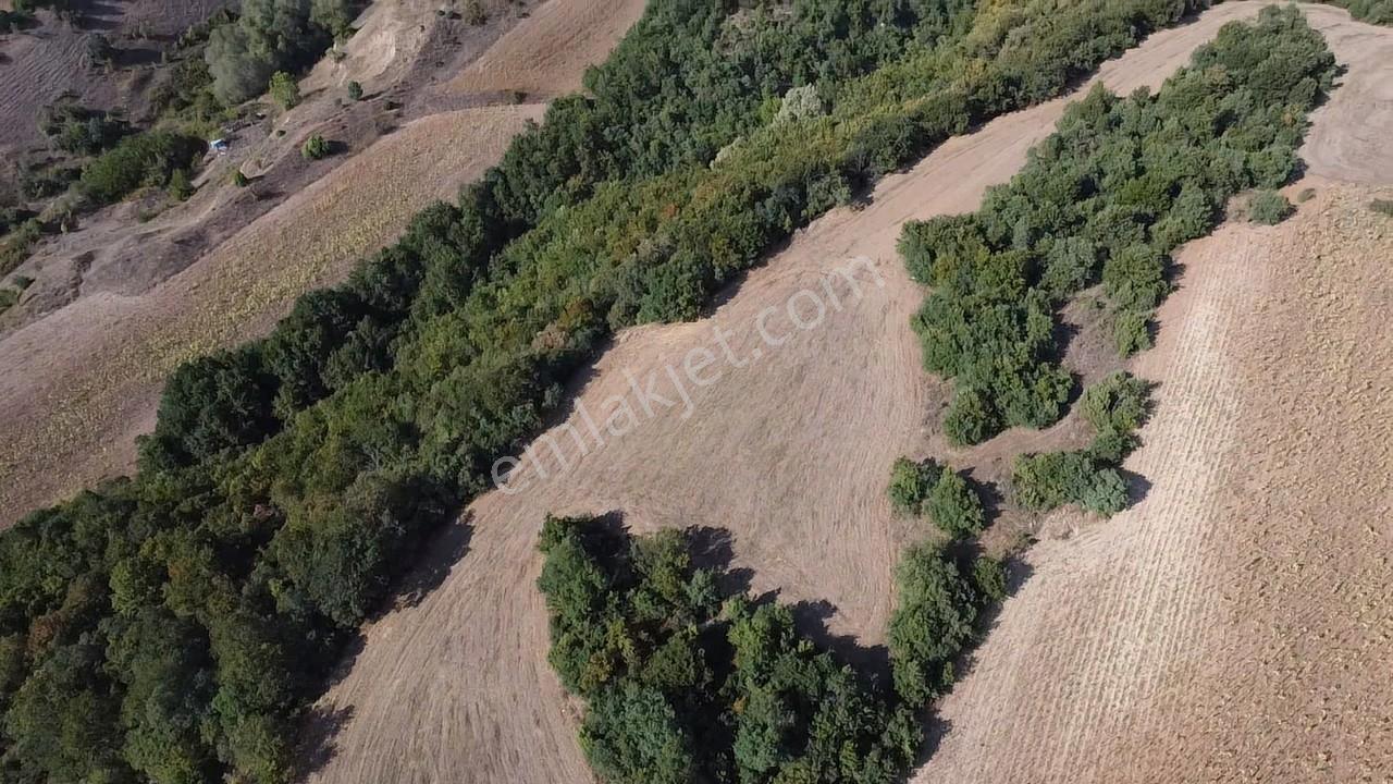 Karataş'tan 2063 M2 Ormana Cephe Ağaçlar İçinde Doğa Harikası!! - Görsel 12