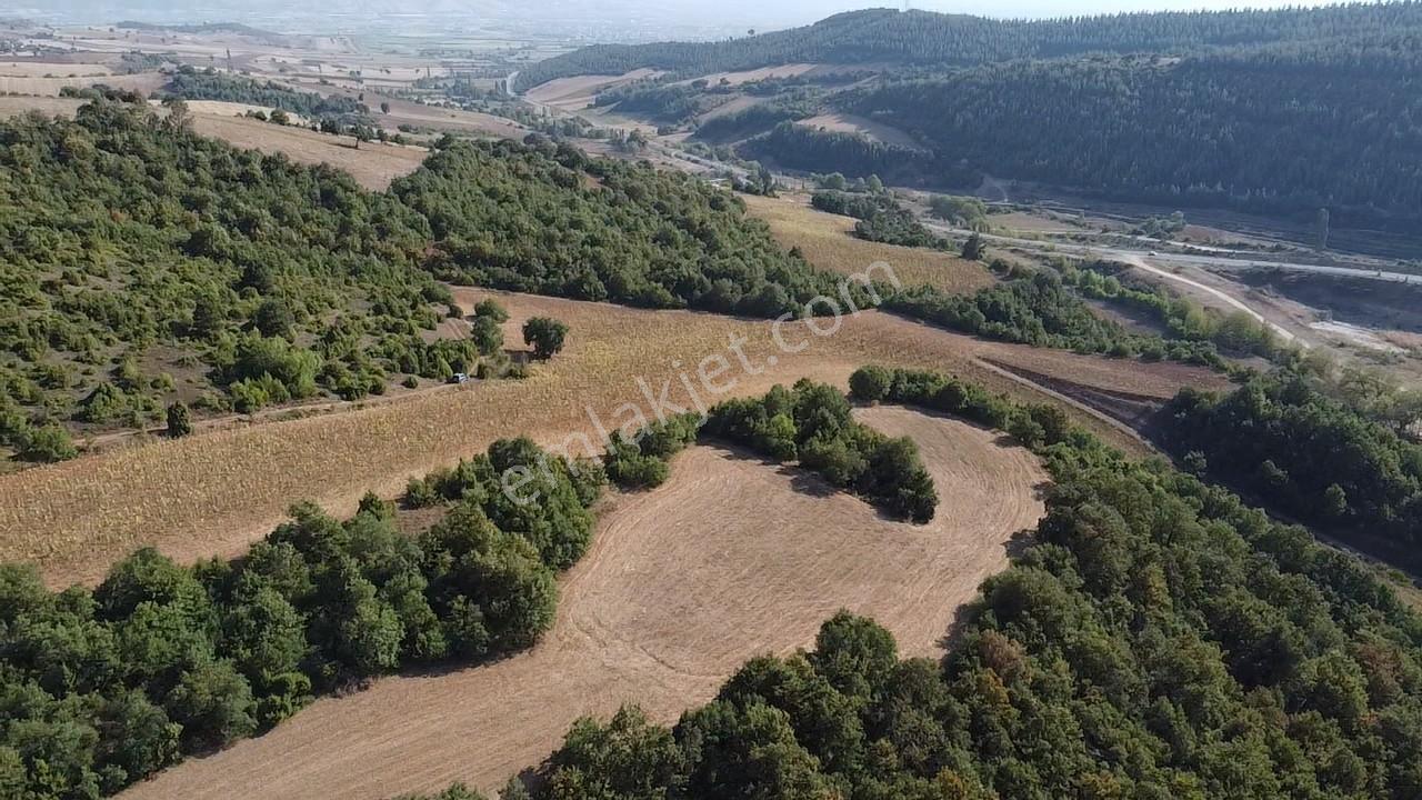 Karataş'tan 2063 M2 Ormana Cephe Ağaçlar İçinde Doğa Harikası!! - Görsel 9