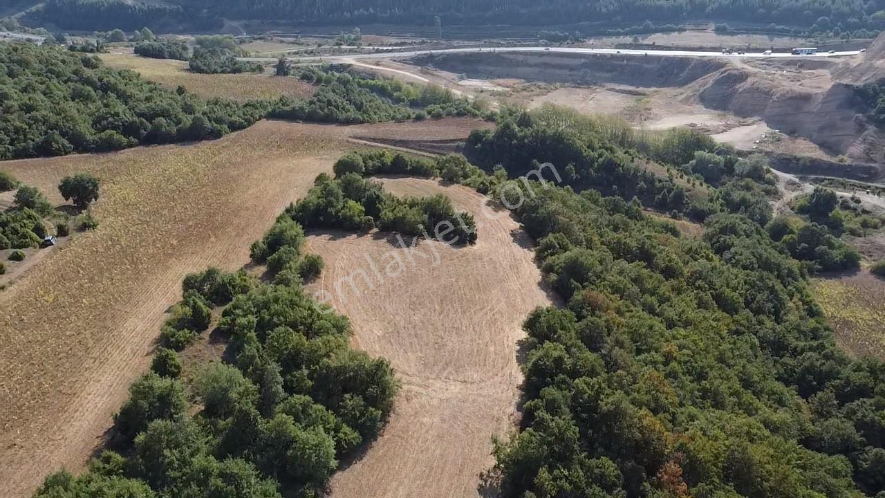 Karataş'tan 2063 M2 Ormana Cephe Ağaçlar İçinde Doğa Harikası!! - Görsel 8