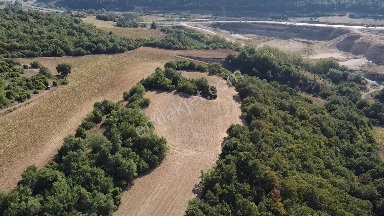 Karataş'tan 2063 M2 Ormana Cephe Ağaçlar İçinde Doğa Harikası!! - Görsel 13