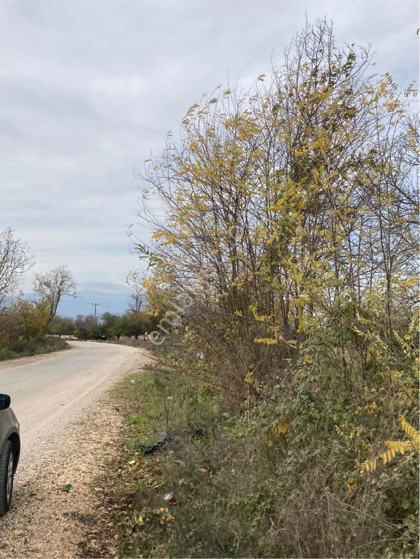 Satılık Tarla - Görsel 5