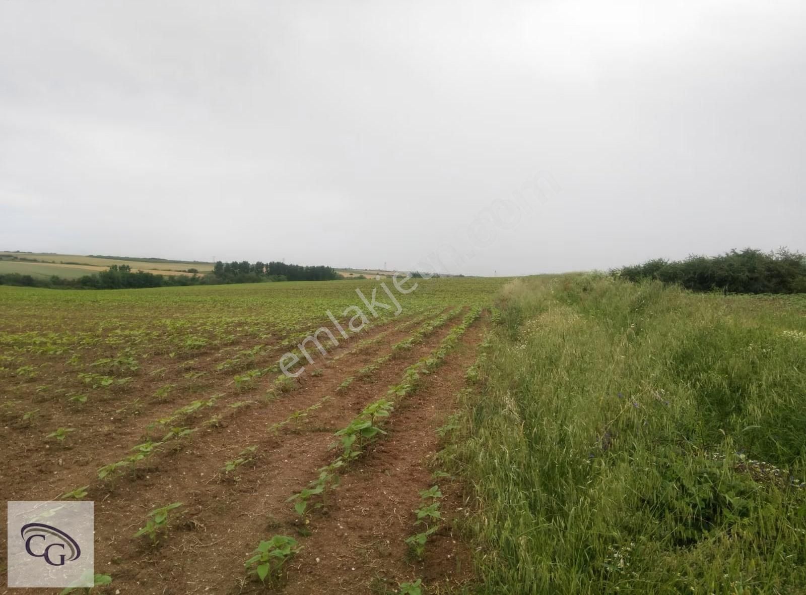 Çatalca-ovayenice'de Satılık 15,2 Dönüm Tarla - Görsel 3