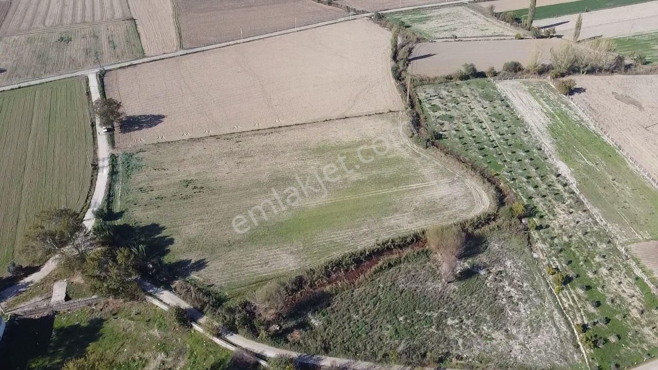 Şahin Gayrimenkul Den Kurşak Köyünde Satılık Yatırımlık Kupon Tarla - Görsel 6