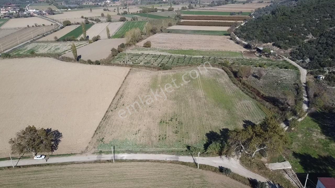 Şahin Gayrimenkul Den Kurşak Köyünde Satılık Yatırımlık Kupon Tarla - Görsel 3