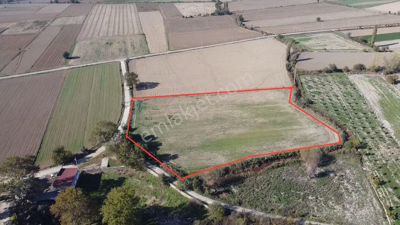 Şahin Gayrimenkul Den Kurşak Köyünde Satılık Yatırımlık Kupon Tarla