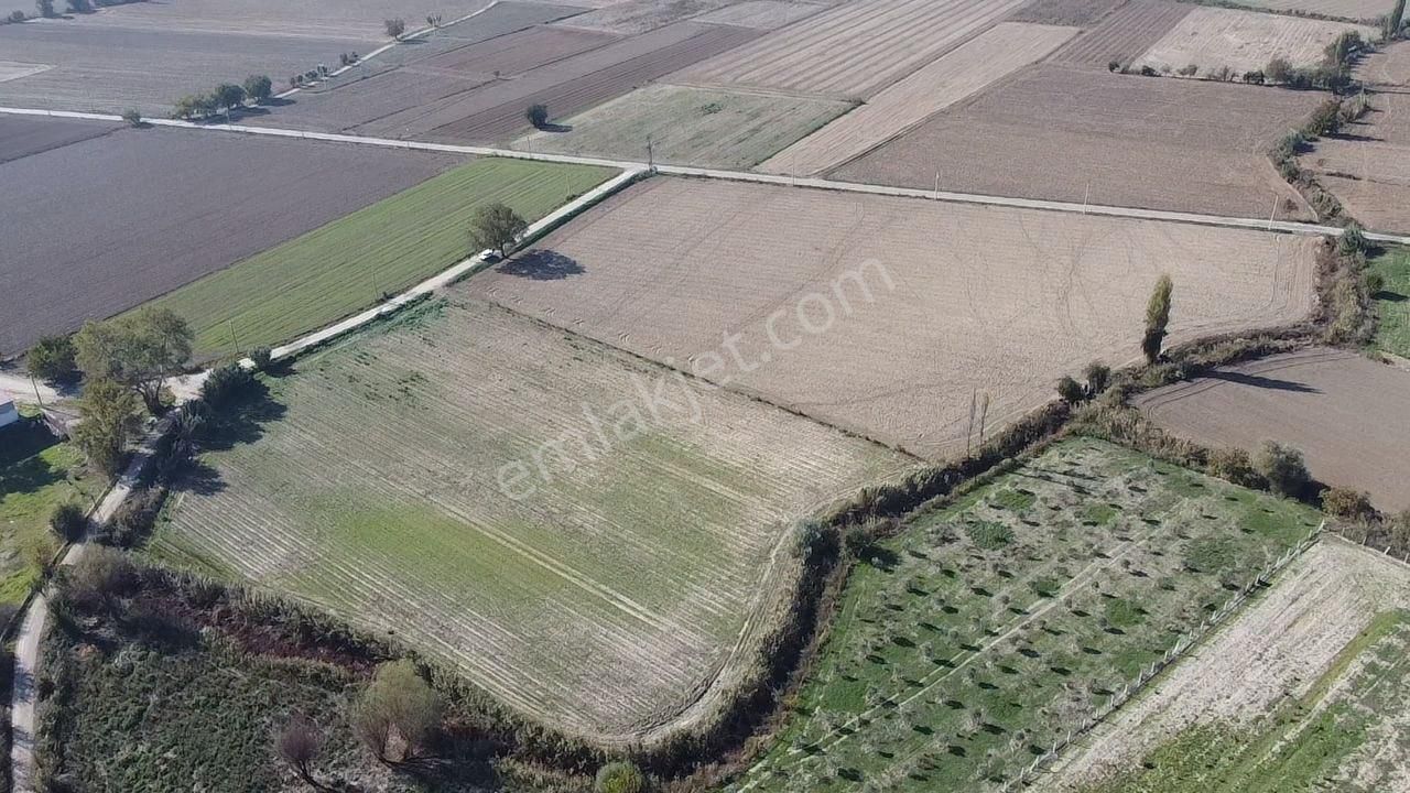 Şahin Gayrimenkul Den Kurşak Köyünde Satılık Yatırımlık Kupon Tarla - Görsel 5