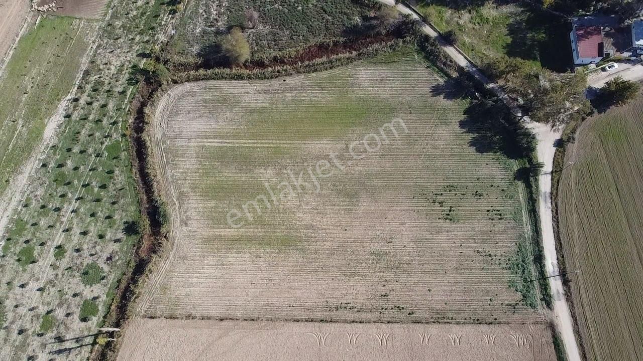 Şahin Gayrimenkul Den Kurşak Köyünde Satılık Yatırımlık Kupon Tarla - Görsel 2