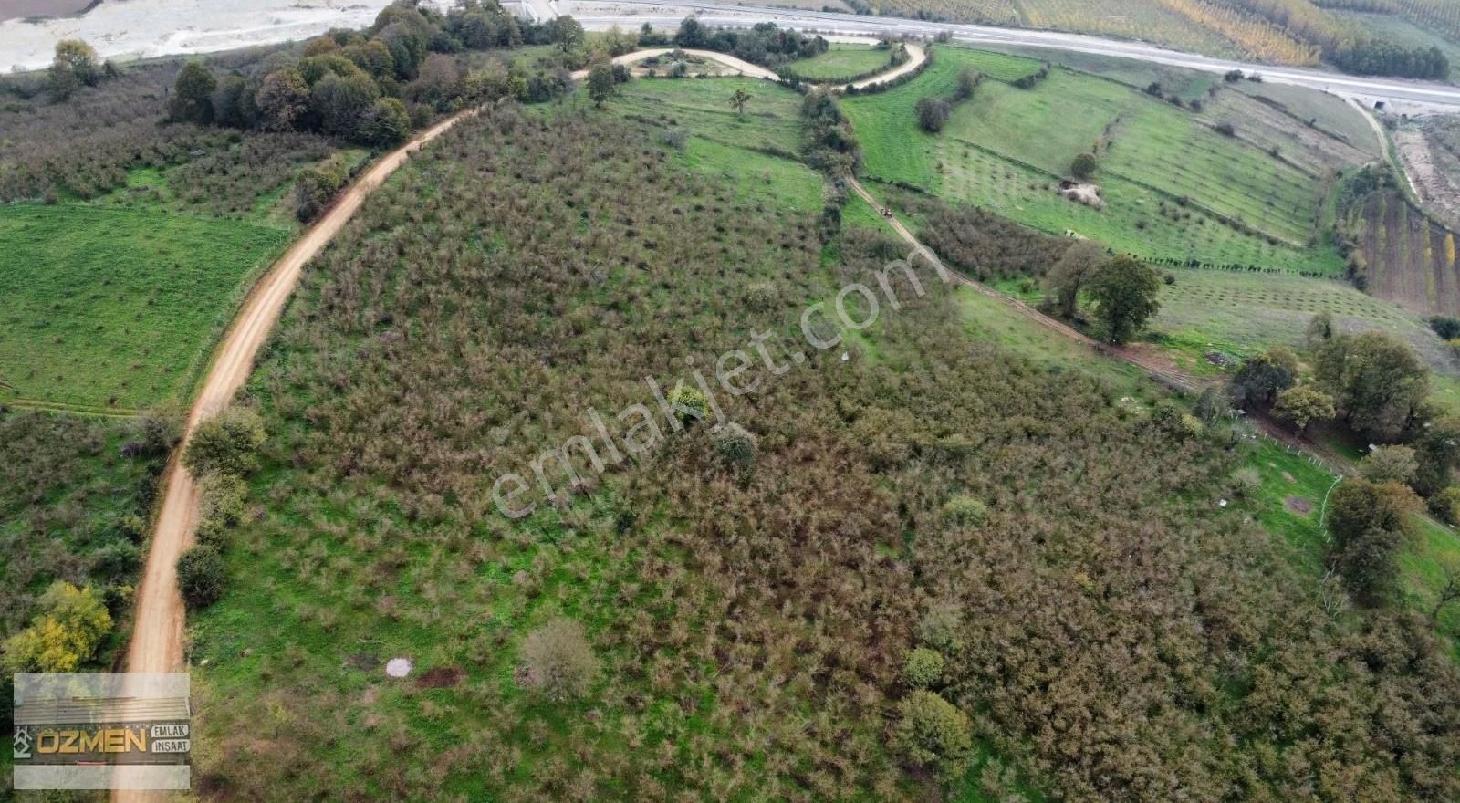 Karasu Hürriyet Mahallesi Satılık Tarla. 5 Dönüm Enfes Konum - Görsel 2