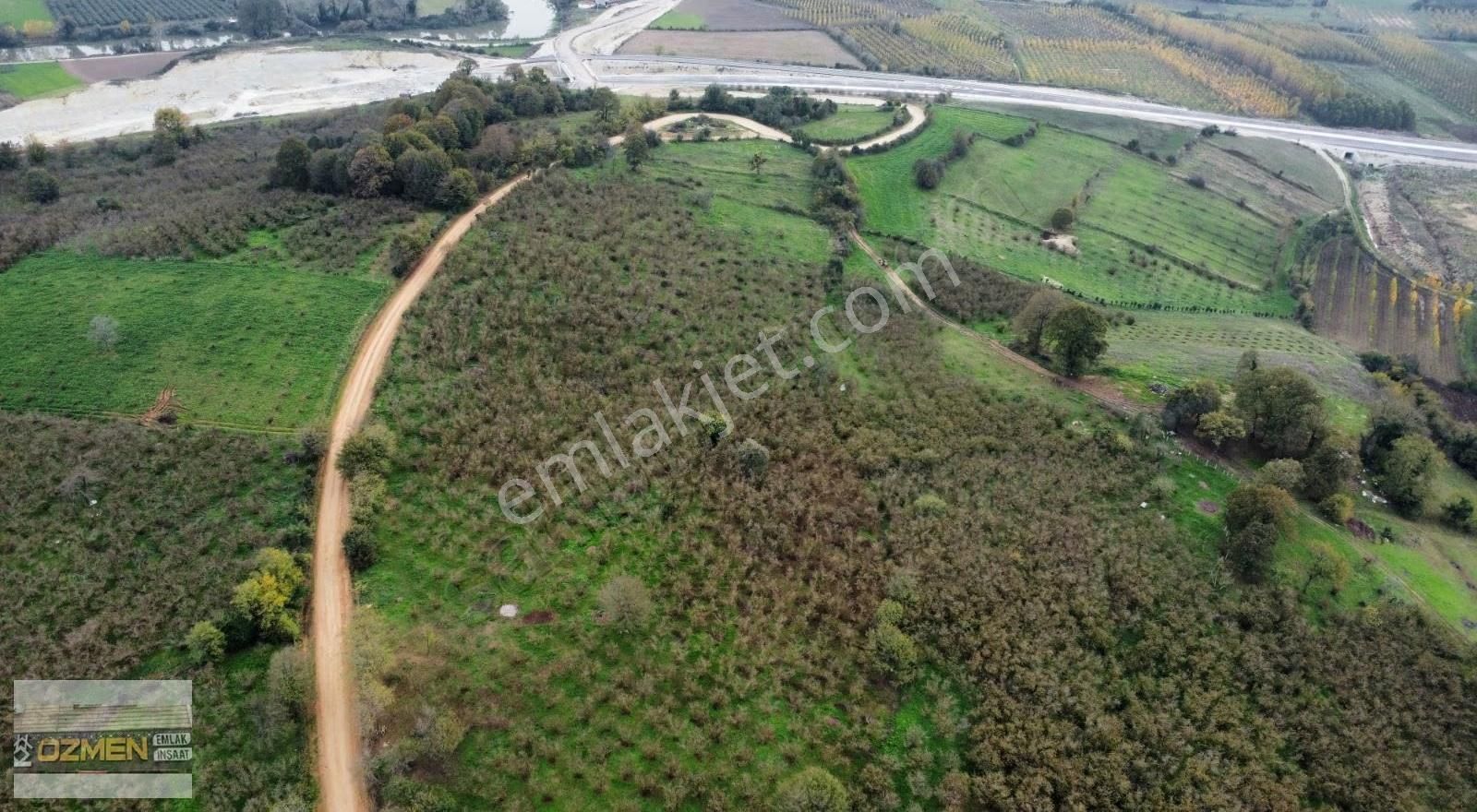 Karasu Hürriyet Mahallesi Satılık Tarla. 5 Dönüm Enfes Konum - Görsel 5