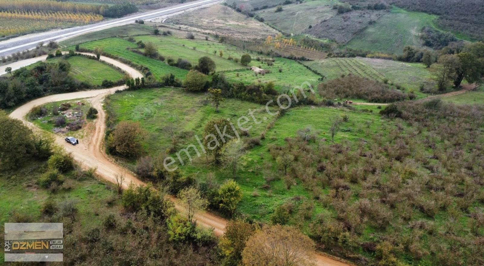 Karasu Hürriyet Mahallesi Satılık Tarla. 5 Dönüm Enfes Konum - Görsel 9