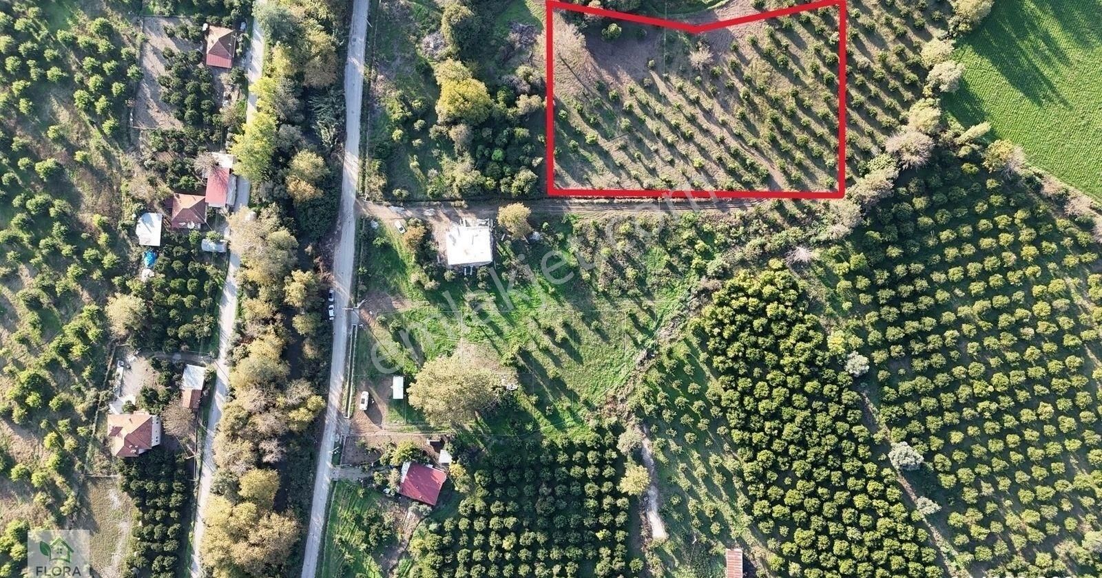 Muğla Köyceğiz Köyceğiz Mh.de Satılık Parseller - Görsel 4