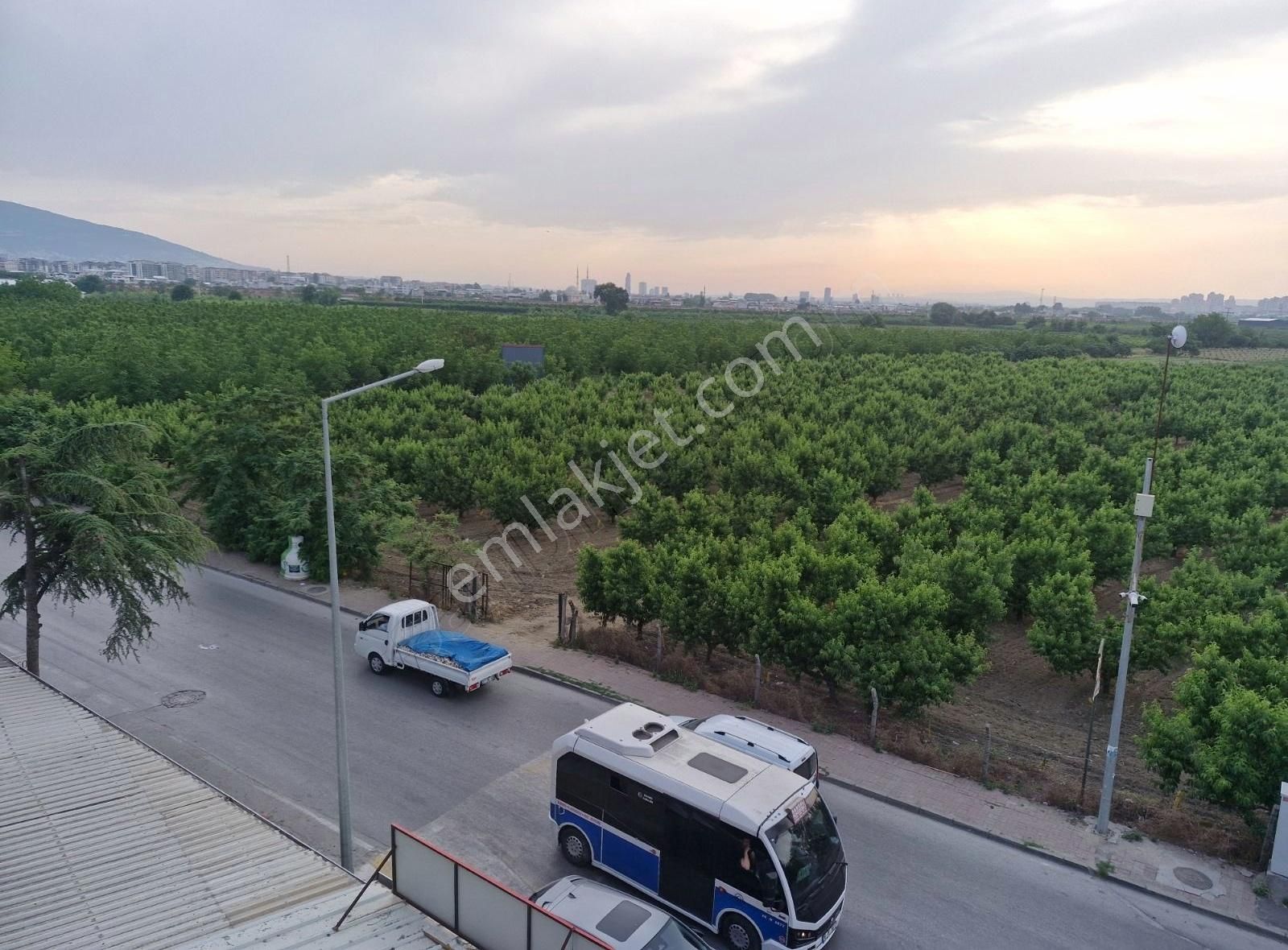 Yıldırım Samanlıda Cadde Üzeri Kiralık 1+1 Daire - Görsel 2