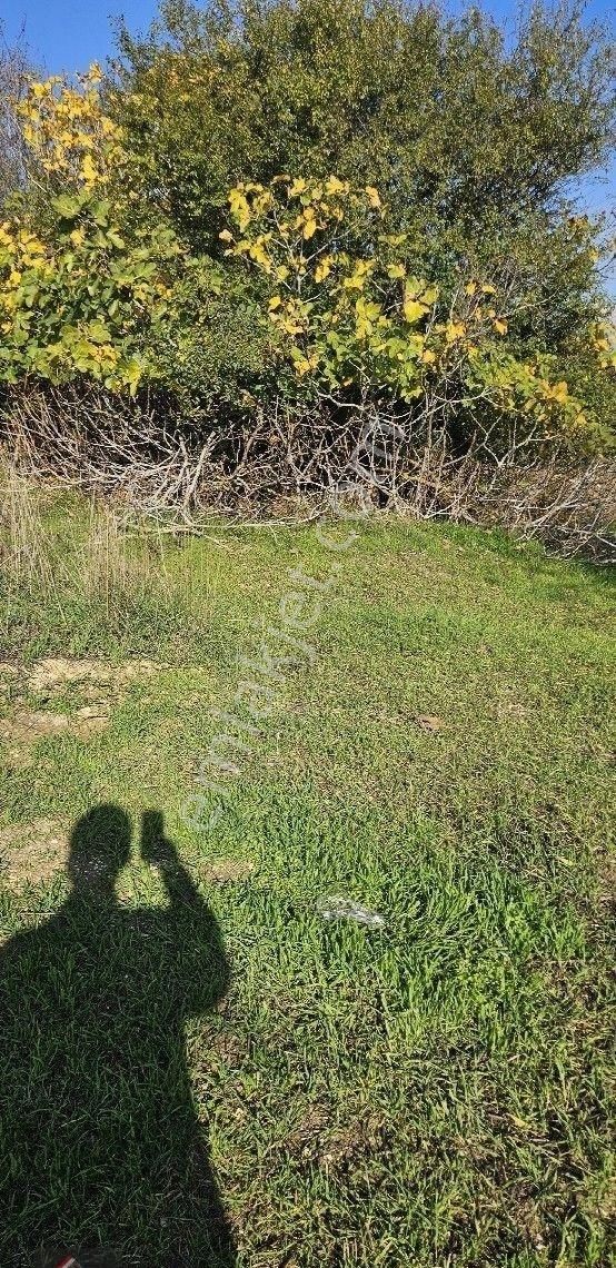 Ortaköy'de 1000 M2 Satılık Arsa - Görsel 12