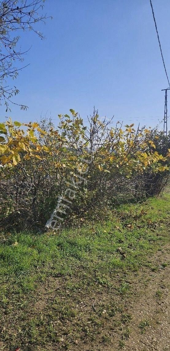 Ortaköy'de 1000 M2 Satılık Arsa - Görsel 19