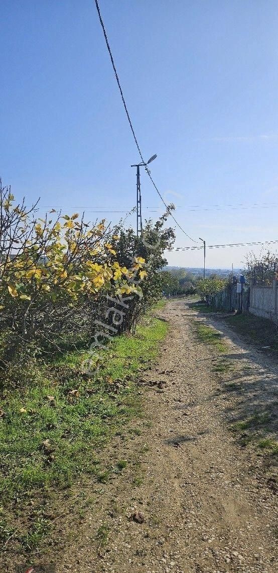 Ortaköy'de 1000 M2 Satılık Arsa - Görsel 9