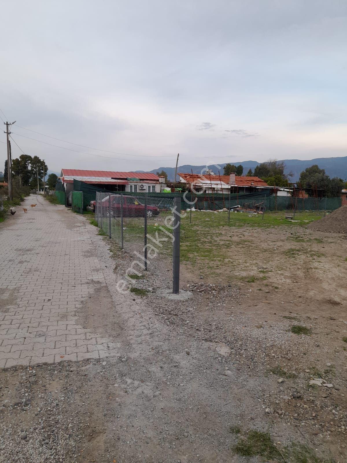 Köyceğiz Hamitköyde Satılık 441 M2 Bahçe - Görsel 3