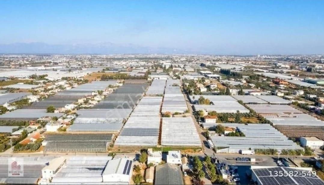 Kepez Mendereste 20.606m2 Tek Tapu Tarla - Görsel 3