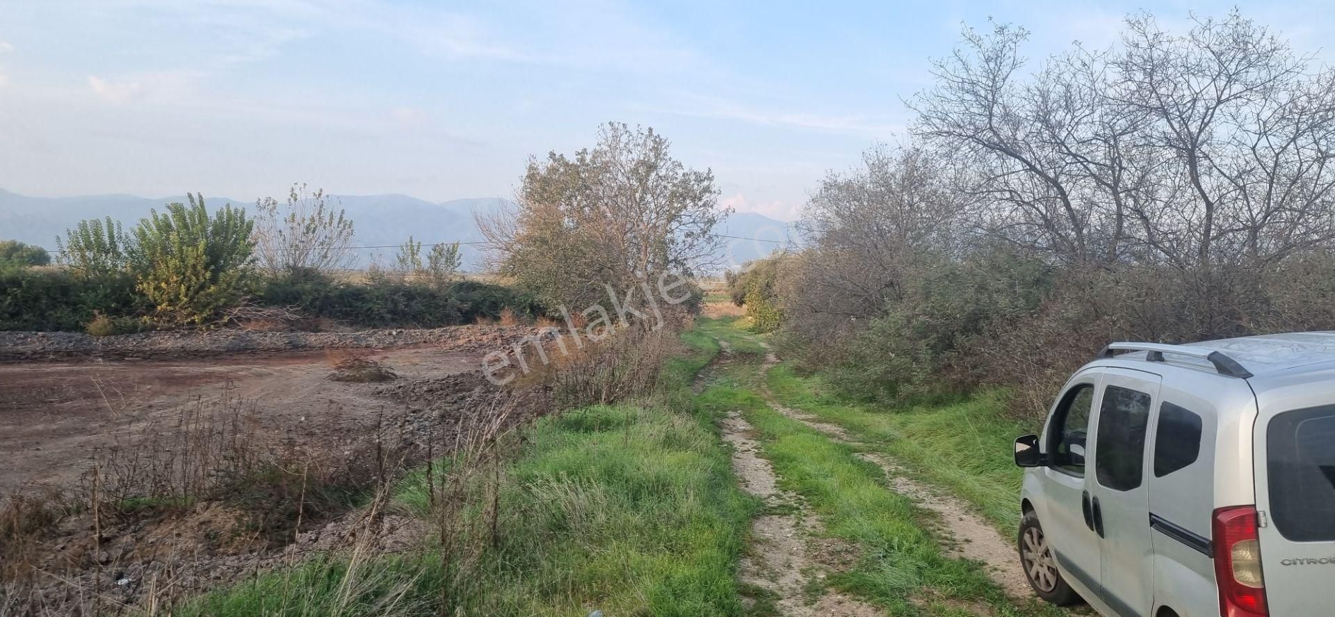 Aydın Nazilli Yöntem Emlaktan Yenipazar Donduran Mahallesinde Asfalta Yakın Satılık Hobi Bahçesi - Görsel 5