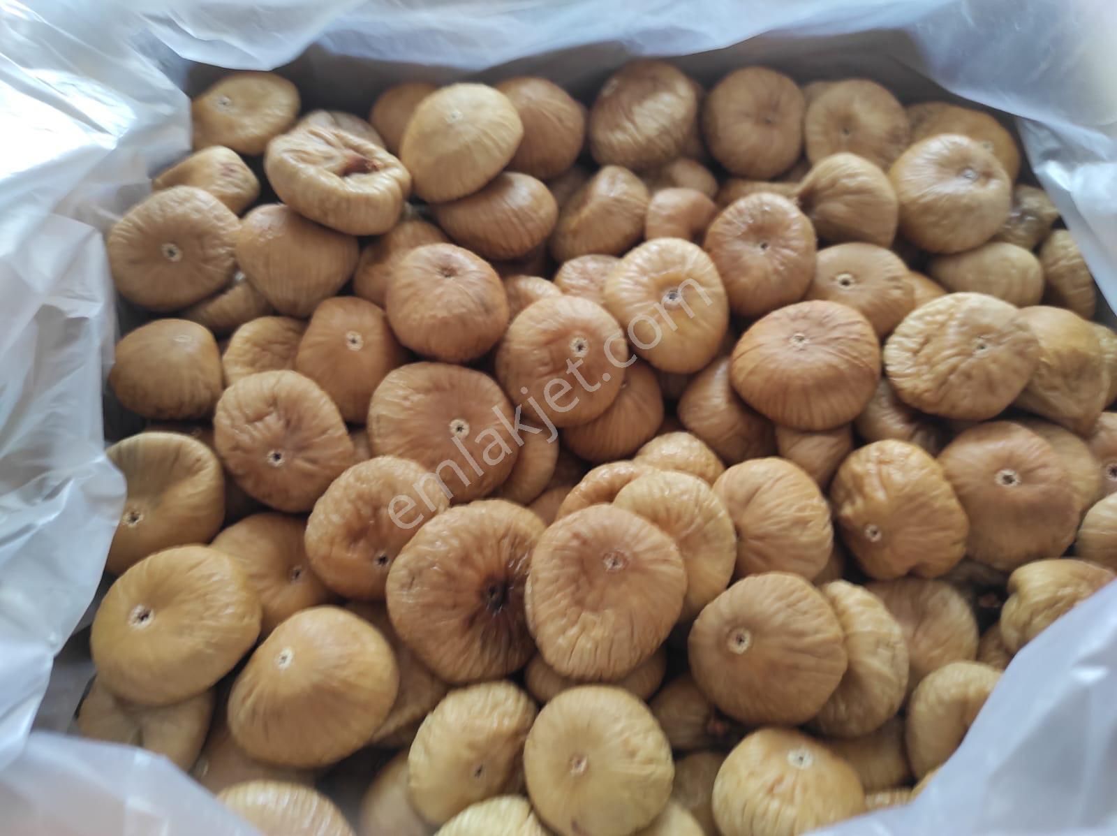 Yenipazar Hacıköseler Mh Satılık İncirlik