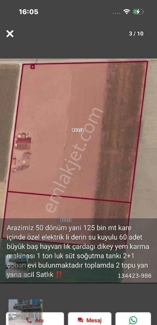 Karatay İsmil İlçesin De Kurulu Duzen 125.000m2 Ciftlık - Görsel 4