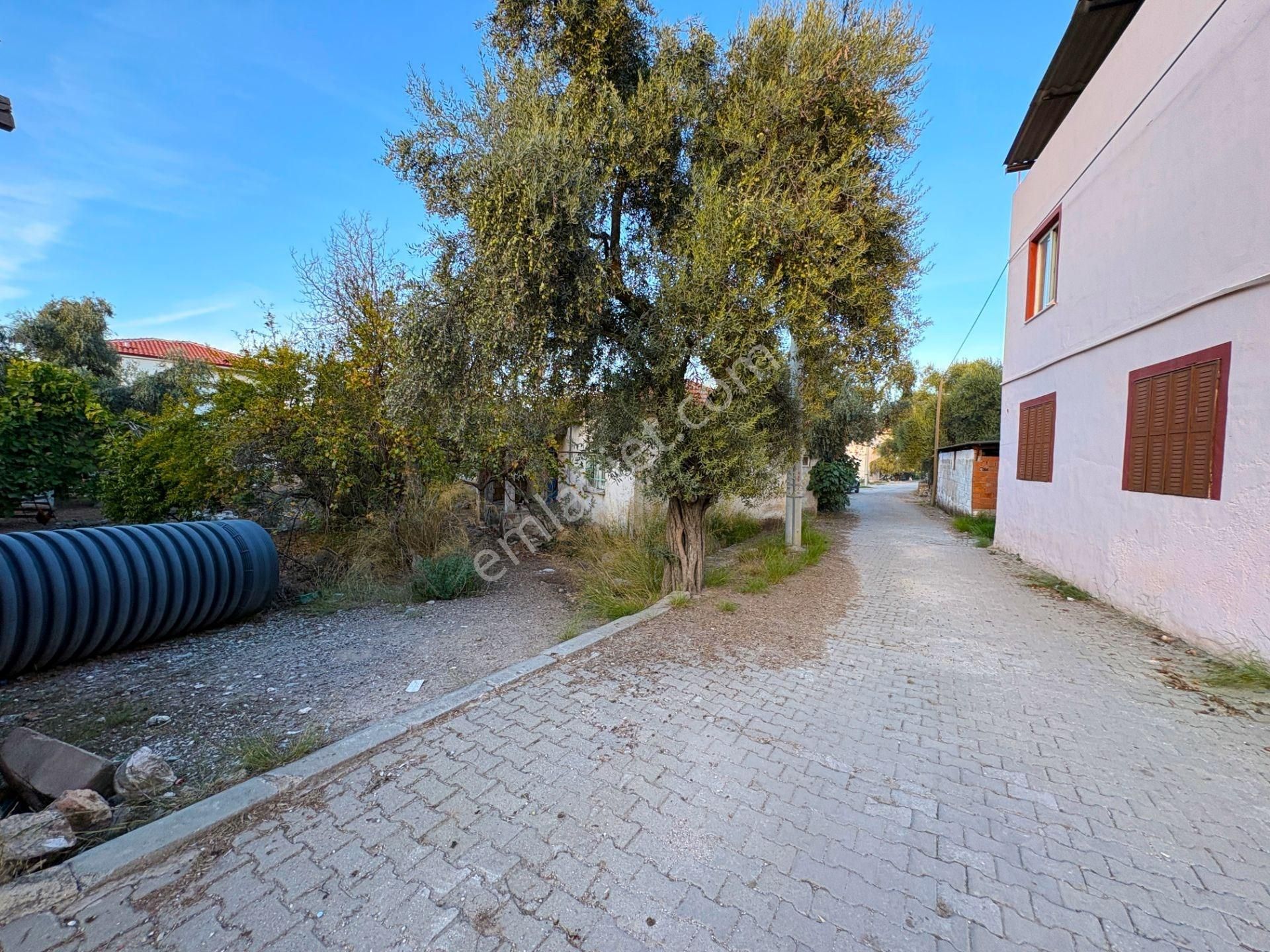 Milas Beçin'de 400 M² Konut İmarlı Satılık Villa Arsası - Görsel 10