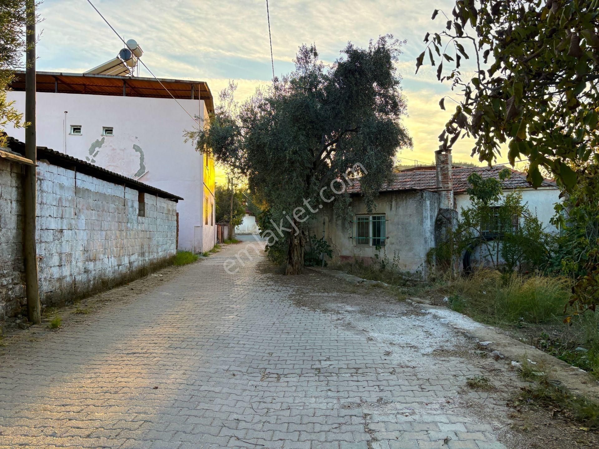 Milas Beçin'de 400 M² Konut İmarlı Satılık Villa Arsası - Görsel 9