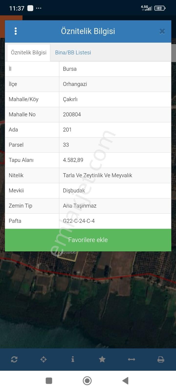 İznik Gölüne Sıfır Satılık Zeytinlik - Görsel 5