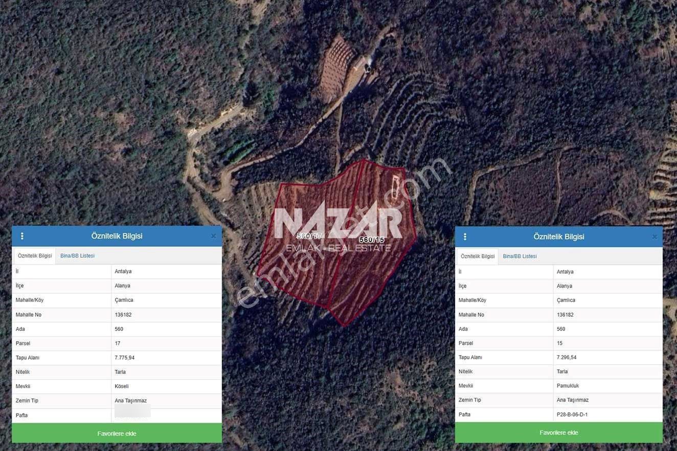 Alanya Çamlıca'da 15.073 M² Satılık Tarla - Görsel 8