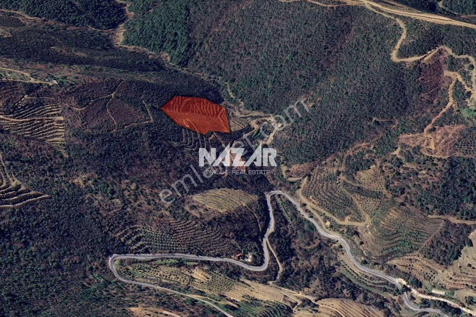 Alanya Çamlıca'da 15.073 M² Satılık Tarla - Görsel 6