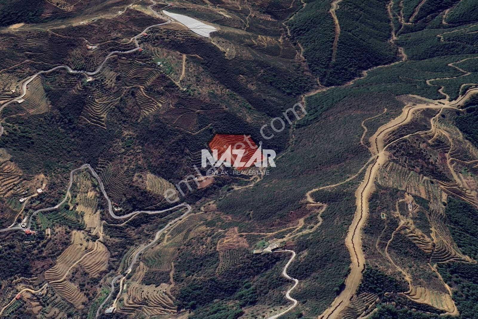 Alanya Çamlıca'da 15.073 M² Satılık Tarla - Görsel 7