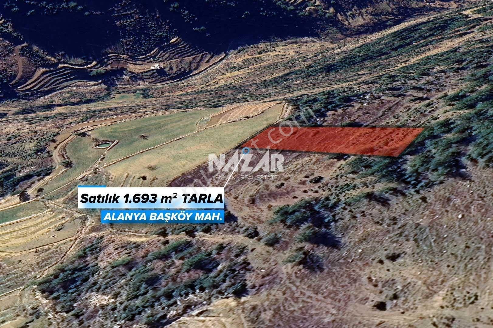 Alanya Başköy'de 1.693 M² Satılık Tarla - Görsel 4