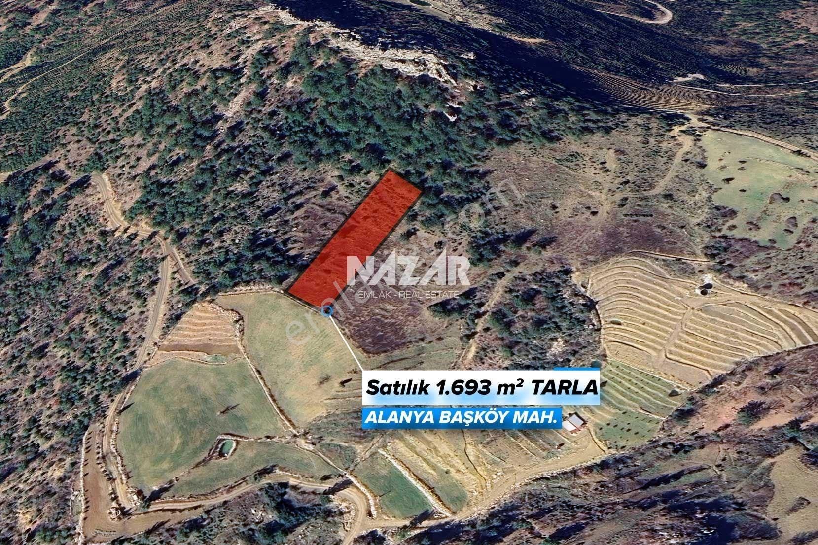 Alanya Başköy'de 1.693 M² Satılık Tarla - Görsel 6