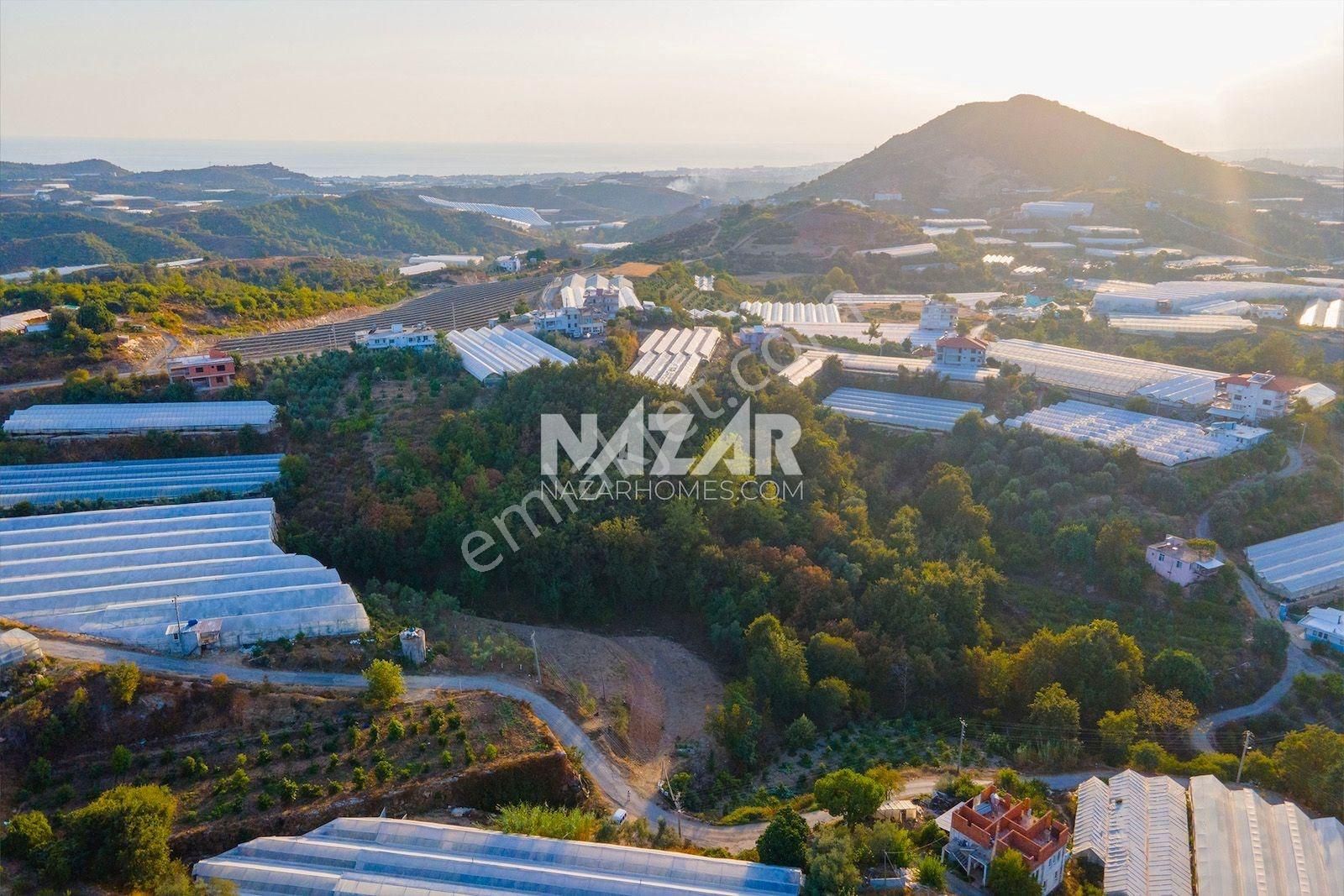 Alanya Toslak’ta Satılık 2.351 M² Tarla - Görsel 17