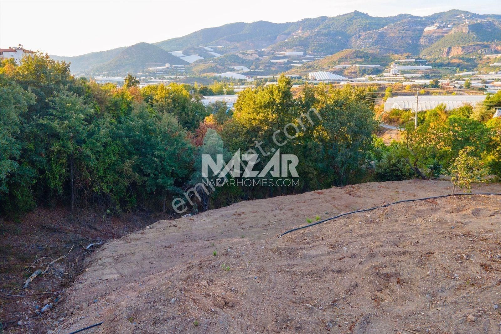 Alanya Toslak’ta Satılık 2.351 M² Tarla - Görsel 12